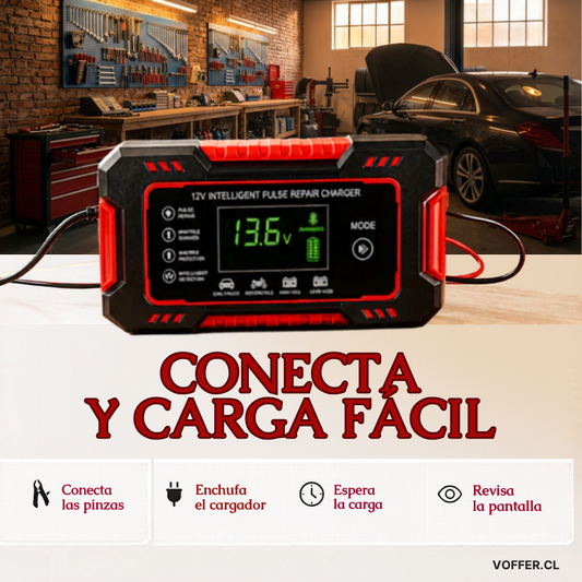 Cargador de Baterías Inteligente